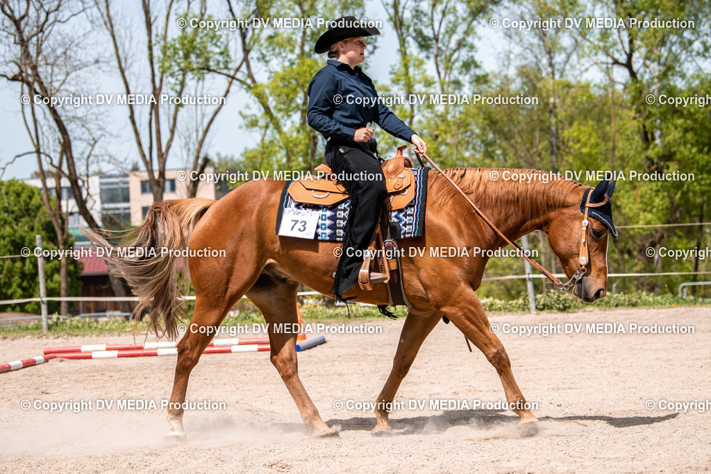 Balingen Tag 4-614 | dv-media-shop - Realisiert mit Pictrs.com