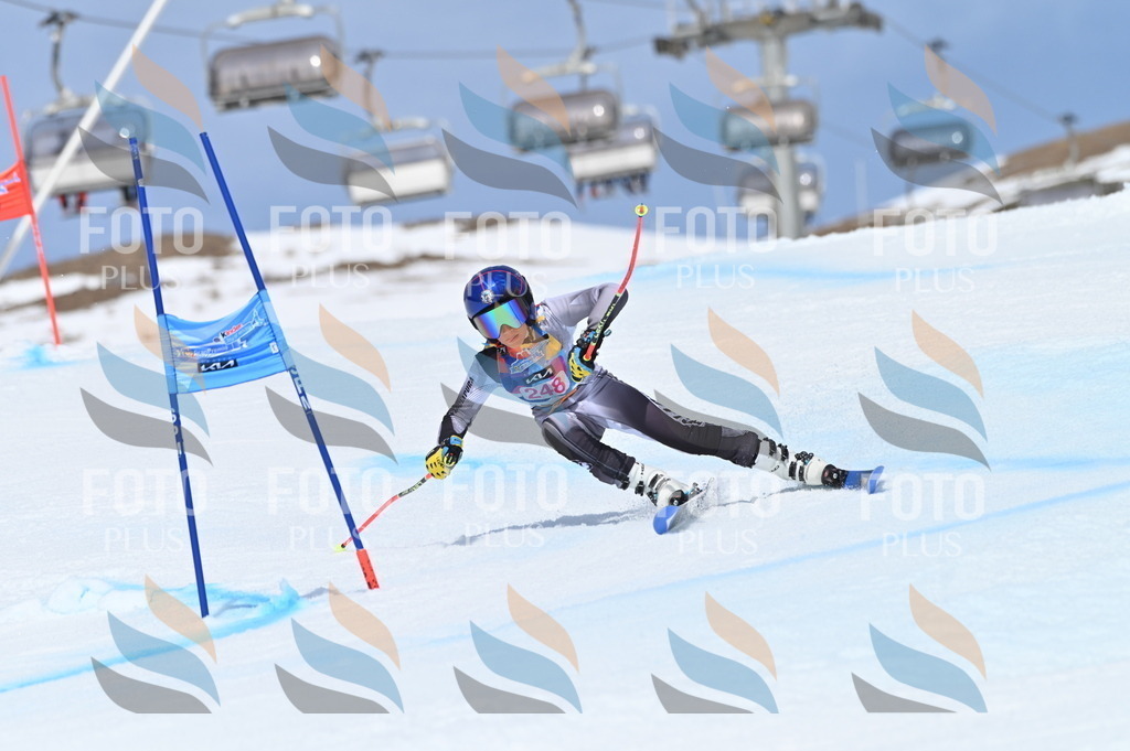 BGV_1838 | holidayphoto