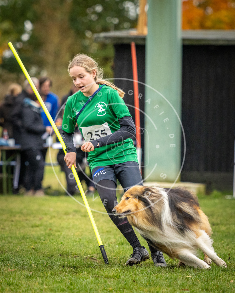 Pfotenfotografie_DV3A0368 | Hundefotografie, Tierfotograf, Pfotenfotografie, Fotoshooting Hund, Hunde Portrait, Hundesport, Hundeportraits, Heideshooting, Hunde, Sportfotograf, Hundefotograf, Turnierhundsport, THS,  - Realisiert mit Pictrs.com
