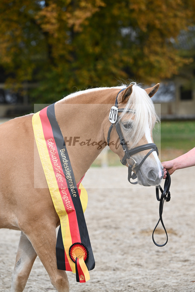 Kat-Nr. 278 Daria_Obermaier_54223394 | hf-fotografie - Realisiert mit Pictrs.com