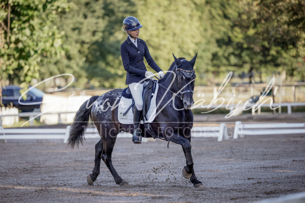 20250906-_3LI2792 | Tierfotografie Pferde, Hunde, Katzen, Haustiere.
Turnierfotografie Reitturniere, Reiten, Springreiten, Dressur in Hanau, dem Main-Kinzig-Kreis und dem Rhein-Main- Gebiet um Frankfurt