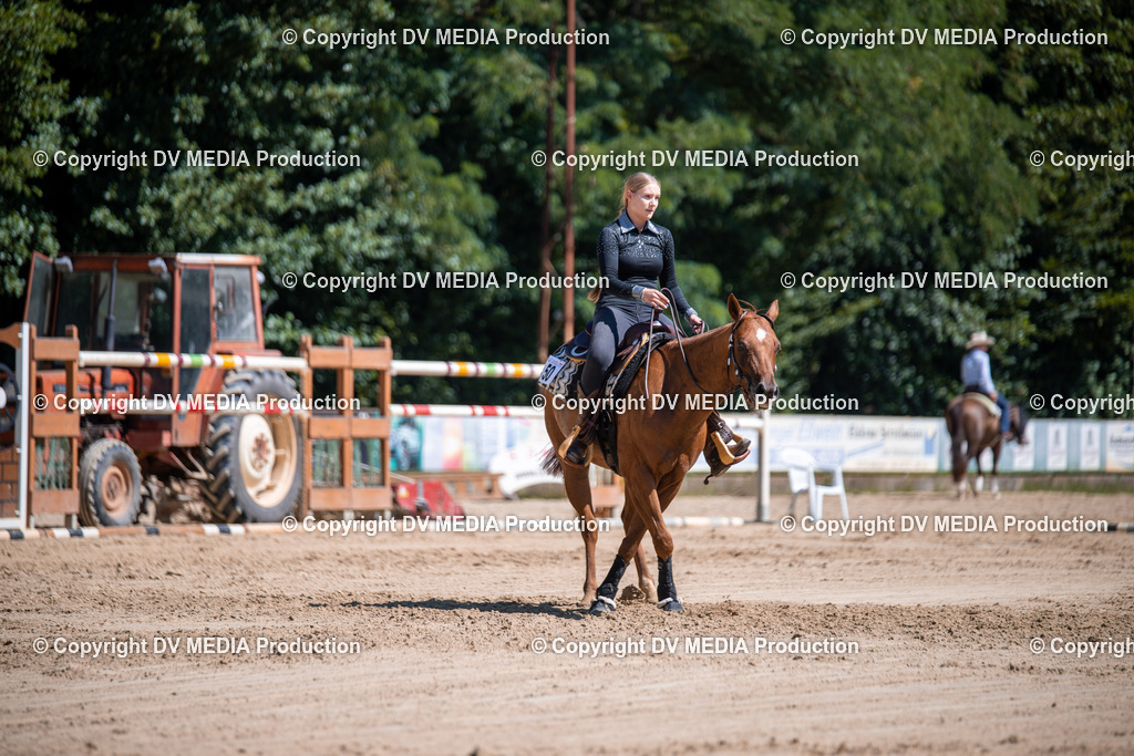 ZS1_1047 | dv-media-shop - Realisiert mit Pictrs.com