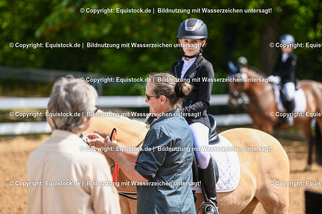 20230716_10-3_Reiter-WB Schritt - Trab - Galopp_0197 | equistock