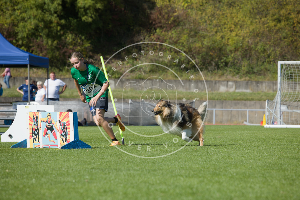 0L8A7319 | Hundefotografie, Tierfotograf, Pfotenfotografie, Fotoshooting Hund, Hunde Portrait, Hundesport, Hundeportraits, Heideshooting, Hunde, Sportfotograf, Hundefotograf, Turnierhundsport, THS,  - Realisiert mit Pictrs.com