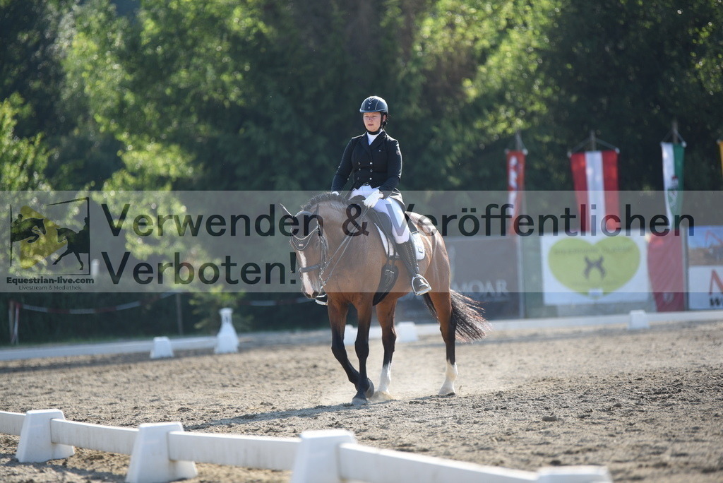 DSC_3073 | equestrian-live-com
