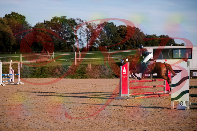 2026_10_03_Siefer-Hof_171200_Z81_08968035 | Professionelle Reitsport-, Turnier- und Eventfotografie von Robert Broda. Galerien mit ausgewählten und bearbeiteten Bildern direkt online ansehen und bestellen.
