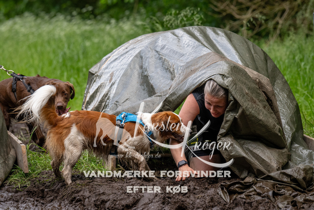 1531_ZZ94063 | kk-dogfotos