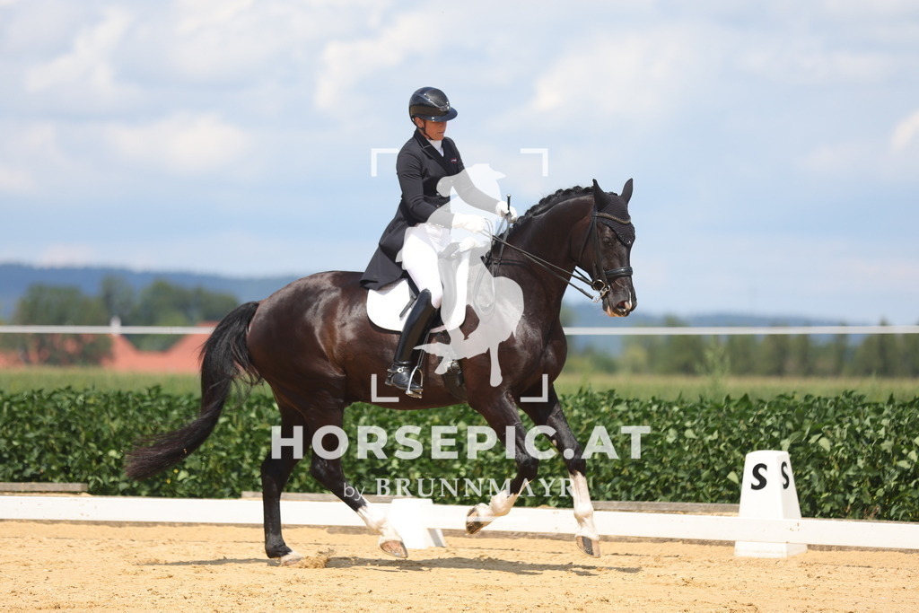 0P6A5412 | Willkommen bei Brunnmayr - Design & Fotografie – Ihrem Spezialisten für Reitturniere und Pferdeveranstaltungen in Oberösterreich, Salzburg und Bayern! Seit über 17 Jahren sind wir leidenschaftlich dabei.