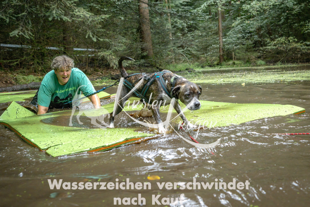 1515_ZZ90004-Bearbeitet | kk-dogfotos
