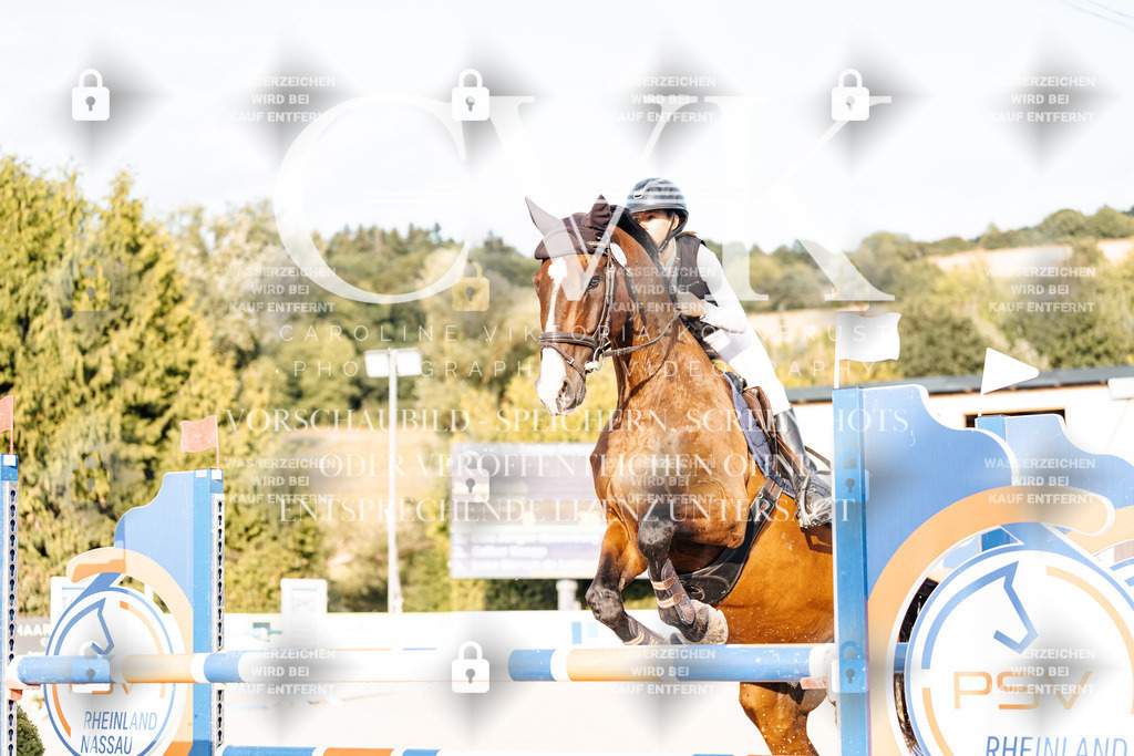 CK903343 | Turnierfotografie Pferdefotografie Trier Rheinland-Pfalz Pferdesport Reitsport Tierfotografie Sportfotografie Pferdevideo Pferdevideografie Equestrianvideography equestrianphotography  - Realisiert mit Pictrs.com