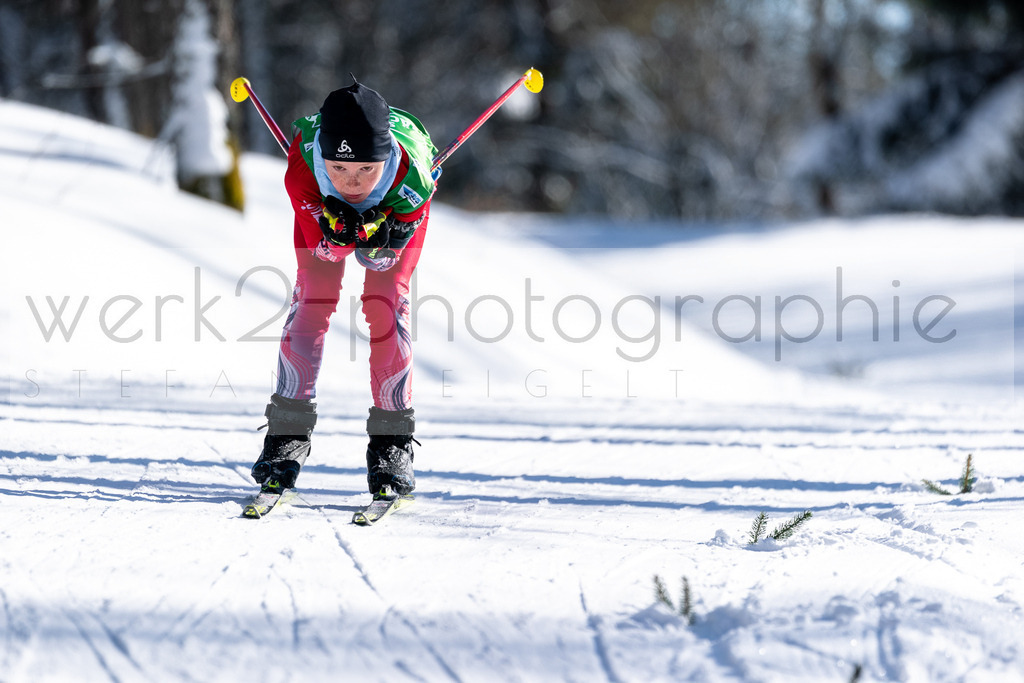 DSC Altenberg | Deutscher Schülercup in Altenberg vom 11. bis zum 13. Februar 2022