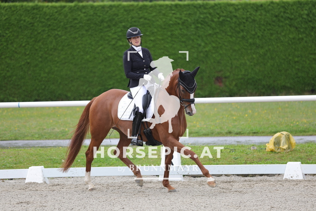 0P6A0097 | Willkommen bei Brunnmayr - Design & Fotografie – Ihrem Spezialisten für Reitturniere und Pferdeveranstaltungen in Oberösterreich, Salzburg und Bayern! Seit über 17 Jahren sind wir leidenschaftlich dabei.