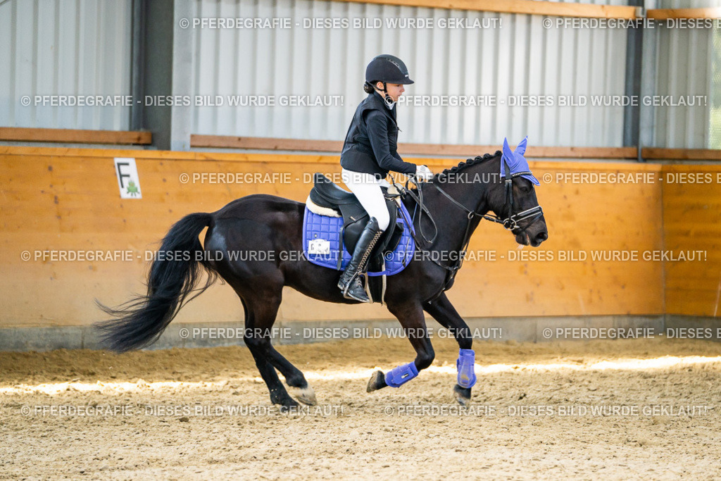 DSC02113 | Pferdegrafie