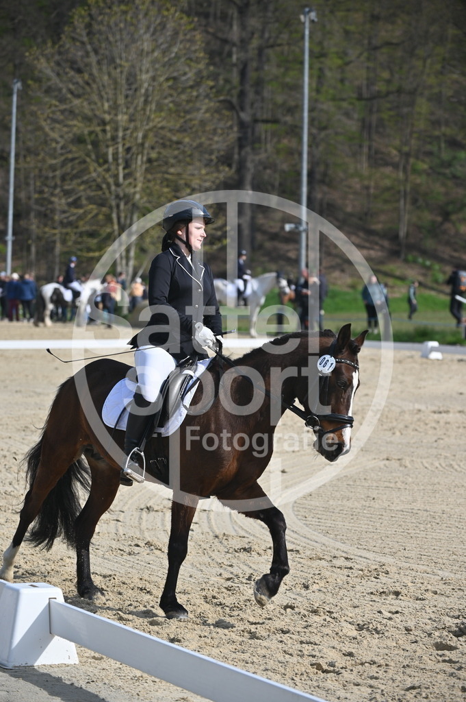 DSC_0427 | sattelsport - Realisiert mit Pictrs.com