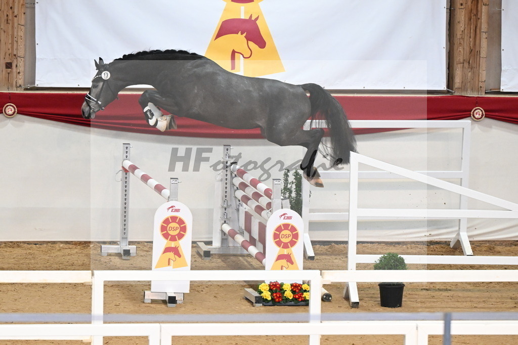 Kat.-Nr. 13 v. Cornet Obolensky (Windows vh Costersveld)_Beckmann_3261632 | hf-fotografie - Realisiert mit Pictrs.com
