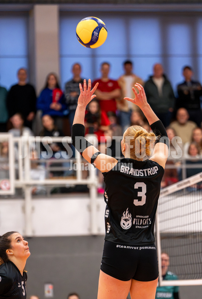 Volleyball I Frauen I Saison 2025-2026 I 2 Bundesliga Pro I 17. Spieltag VFL Oythe - VC Stralsund I 1704 | Gesa Brandstrup (3,VC Stralsund) - Realisiert mit Pictrs.com