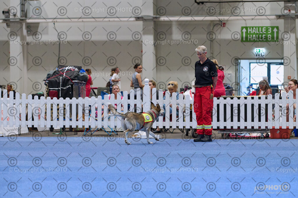 202406_ÖKV-IHA-Tulln24_DSC_3446 | proPHOTO - Realisiert mit Pictrs.com