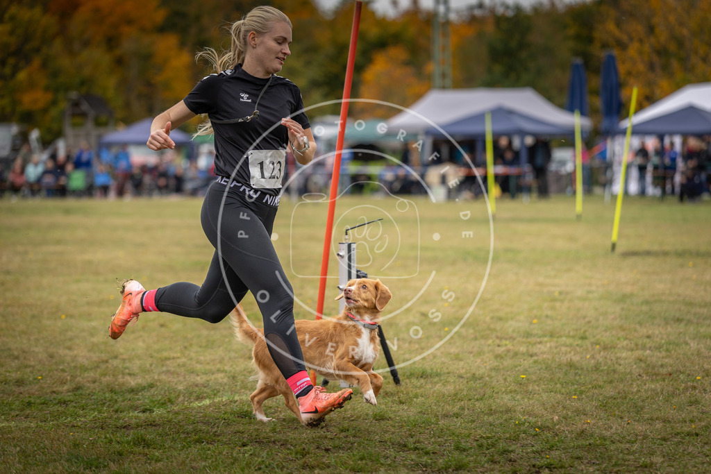 Pfotenfotografie_DV3A7488 | Hundefotografie, Tierfotograf, Pfotenfotografie, Fotoshooting Hund, Hunde Portrait, Hundesport, Hundeportraits, Heideshooting, Hunde, Sportfotograf, Hundefotograf, Turnierhundsport, THS,  - Realisiert mit Pictrs.com