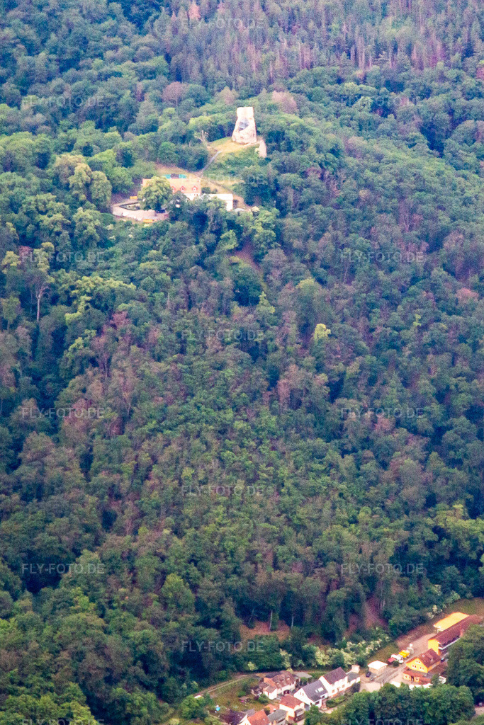 Luftbild: Burgruine Große Lauenburg im Ortsteil Stecklenberg in Thale im Bundesland Sachsen-Anhalt in Deutschland. Foto: IMG_136369.jpg vom 16.06.2023 durch Werner Riehm/FLY-FOTO.de