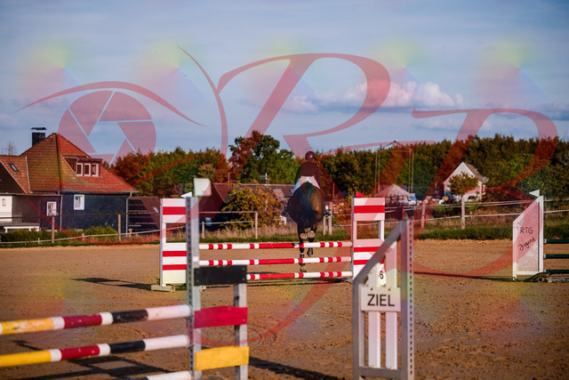 2026_10_03_Siefer-Hof_171039_Z81_07597898 | Professionelle Reitsport-, Turnier- und Eventfotografie von Robert Broda. Galerien mit ausgewählten und bearbeiteten Bildern direkt online ansehen und bestellen.