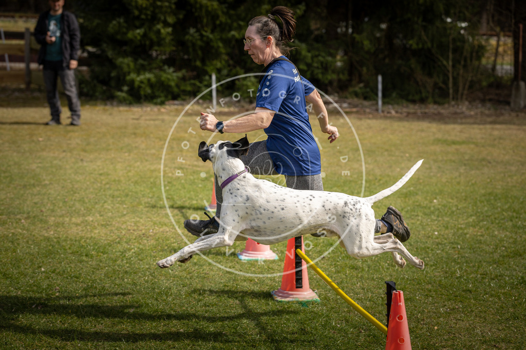 Pfotenfotografie_DV3A9532 | Hundefotografie, Tierfotograf, Pfotenfotografie, Fotoshooting Hund, Hunde Portrait, Hundesport, Hundeportraits, Heideshooting, Hunde, Sportfotograf, Hundefotograf, Turnierhundsport, THS,  - Realisiert mit Pictrs.com