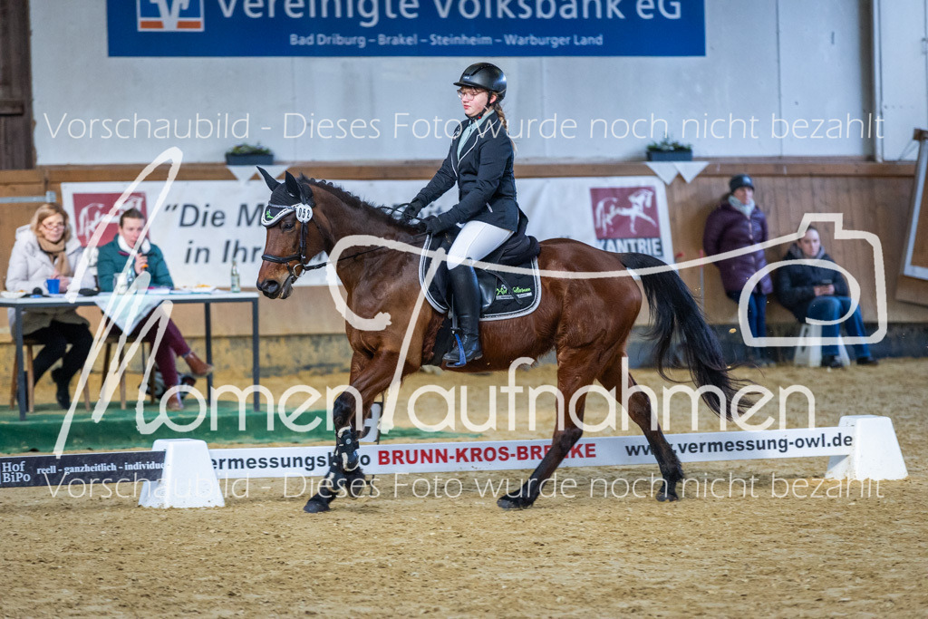 Sth-WBO25-RW2Spr-063 | MomenTaufnahmen Pferdesportfotos