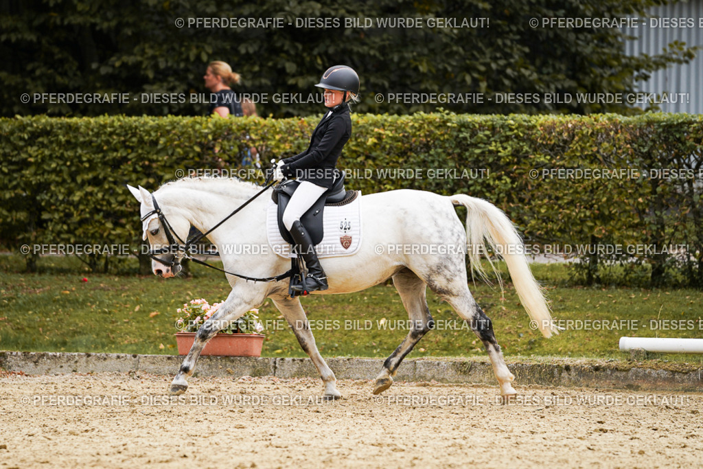 DSC09662 | Pferdegrafie