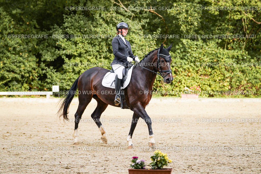 DSC09666 | Pferdegrafie