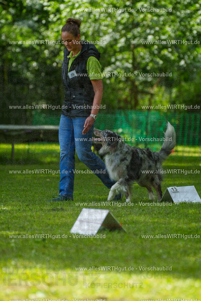 @allesWIRTHgut_Tierfotografie - www.allesWIRTHgut.de - 7R504810 | Professionelle Tierfotografie in Mönchengladbach von Daniel Wirth (allesWIRTHgut). Liebevolle & natürliche Bilder von Hunden & Katzen für unvergessliche Erinnerungen.