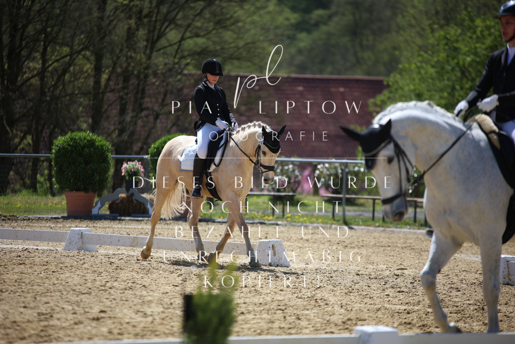 IMGT1713 | pl-fotografie