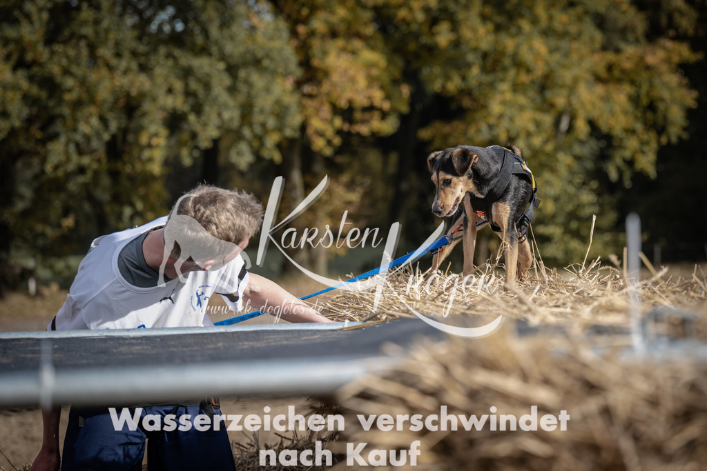 1212_ZZ93629 | kk-dogfotos