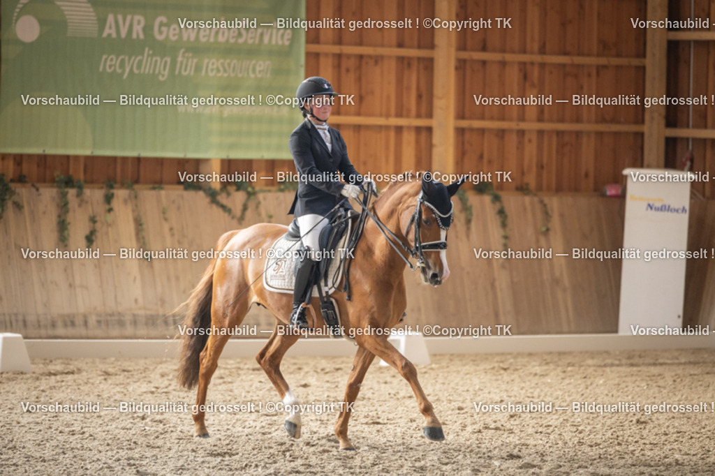 _D5A6151 | Emotionale Pferde- & People-Fotografie rund um Heidelberg, Leimen & Umgebung. Natürliche Fotos von Pferd, Mensch & Familie. Jetzt Termin sichern!