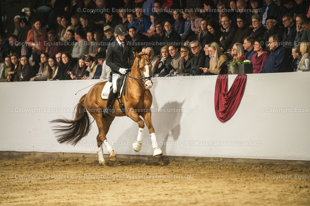 20240302_Hengstvorstellung_Marbach_TOMsPiC_0525 | equistock