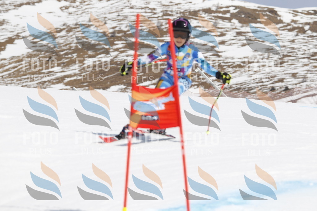 _U3G1658 | holidayphoto