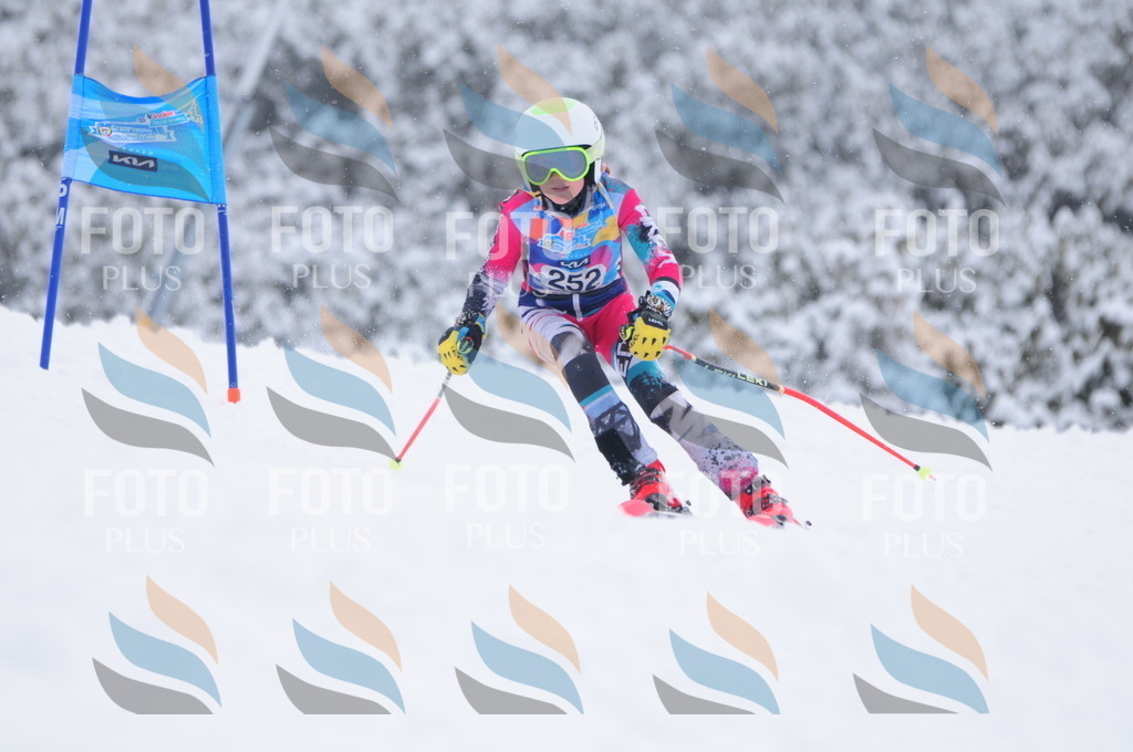 C2650 | holidayphoto