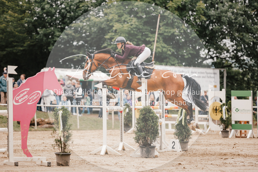 3I6A2199 | Stimmungsvolle Portraits und Reitsportfotografie im Ruhrgebiet und im Münsterland.

Pferdefotografie, Hundefotografie, Tierfotografie, Reportagen, Portraits von Tier und Mensch, Turnierfotografie in Bochum, Recklinghausen, Marl, Haltern am See, Dülmen.. - Realisiert mit Pictrs.com