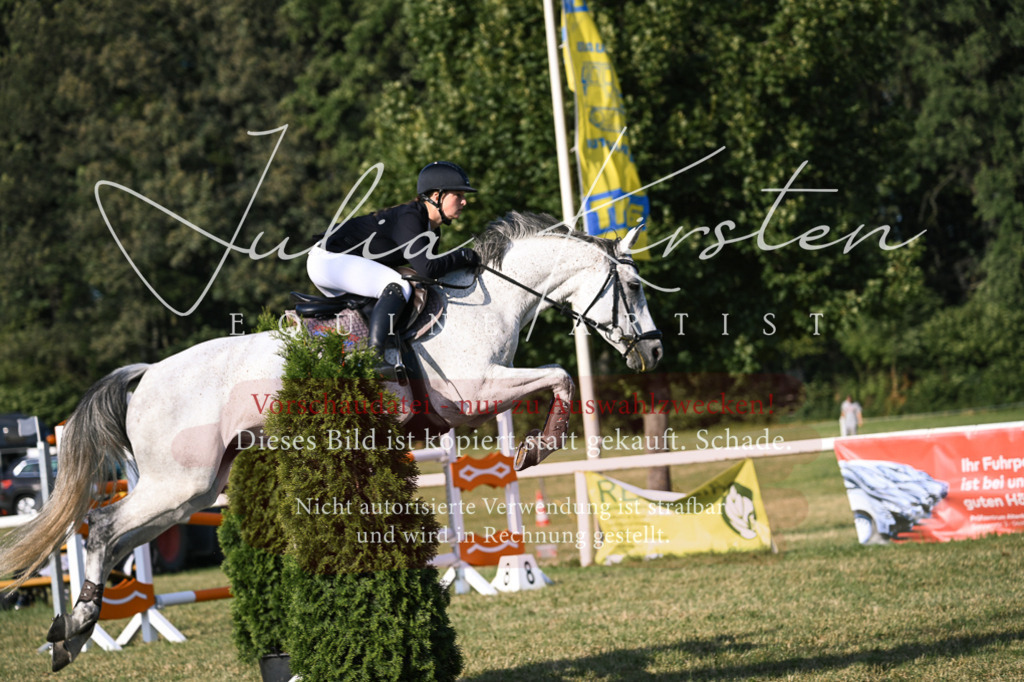 DSC_1743 | Pferde- und Turnierfotografie in Westsachsen. Pferdeportraits, Auftragszeichnungen und intuitive Kunst.