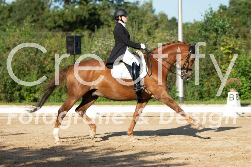 IMG_5872 | Creatify Fotografie