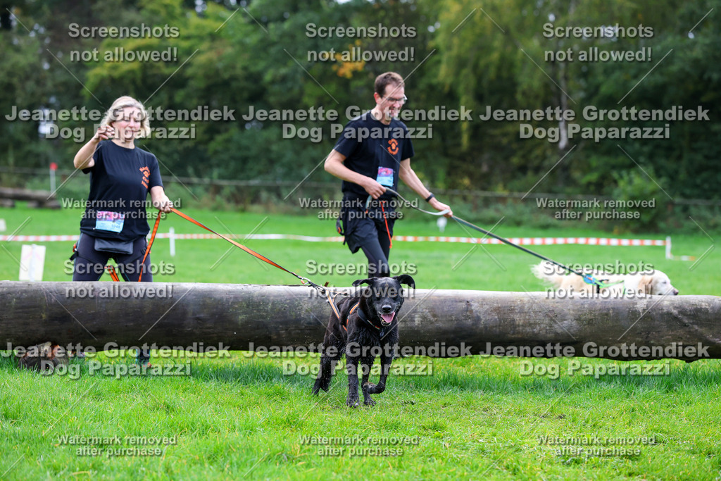 Dog Paparazzi -  SD1026-1103 | Dog Paparazzi Jeanette Grottendiek Fotografie & Videografie - Realisiert mit Pictrs.com