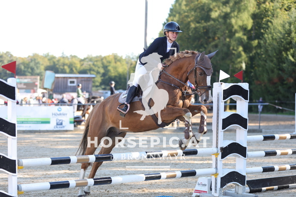 0P6A0334 | Willkommen bei Brunnmayr - Design & Fotografie – Ihrem Spezialisten für Reitturniere und Pferdeveranstaltungen in Oberösterreich, Salzburg und Bayern! Seit über 17 Jahren sind wir leidenschaftlich dabei.