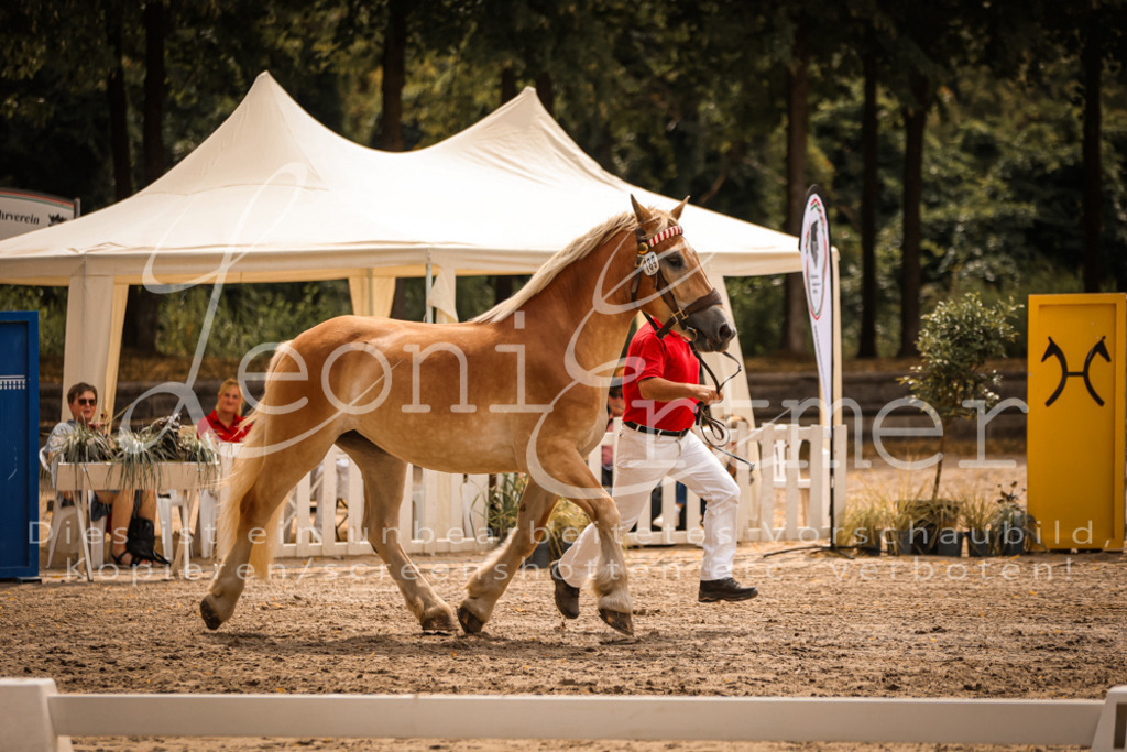 3.Sa00042 | Leoni Ertmer Photography - Realisiert mit Pictrs.com