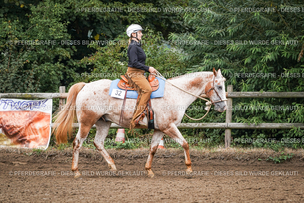 DSC02027 | Pferdegrafie