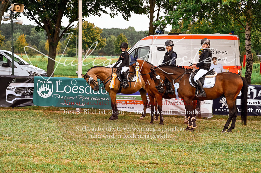 DSC_5792 | Pferde- und Turnierfotografie in Westsachsen. Pferdeportraits, Auftragszeichnungen und intuitive Kunst.