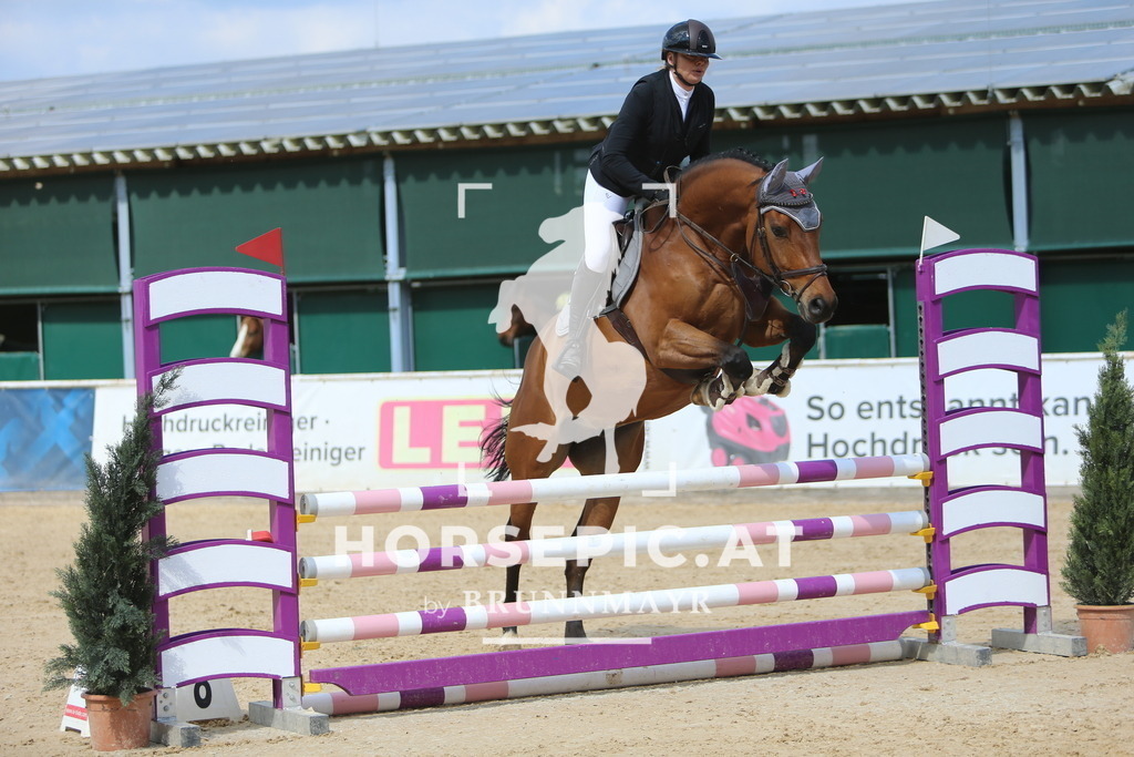 DL2Q9035 | Willkommen bei Brunnmayr - Design & Fotografie – Ihrem Spezialisten für Reitturniere und Pferdeveranstaltungen in Oberösterreich, Salzburg und Bayern! Seit über 17 Jahren sind wir leidenschaftlich dabei.