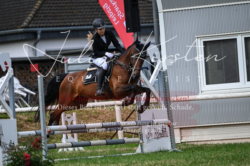 DSC_8651 | Pferde- und Turnierfotografie in Westsachsen. Pferdeportraits, Auftragszeichnungen und intuitive Kunst.