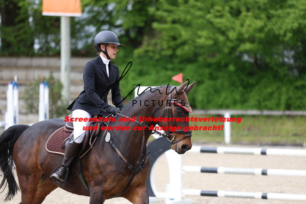 A40A1230 | lmwpictures - Realisiert mit Pictrs.com