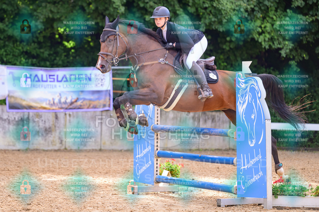 30082026-Giesenbach-Prfg16-0495 | Fokus Hufschlag Fotografie - Realisiert mit Pictrs.com