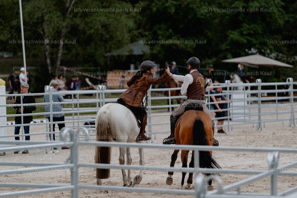 WE__Stoib_Rinder_PI2025_3015 | Pferd International München 2025