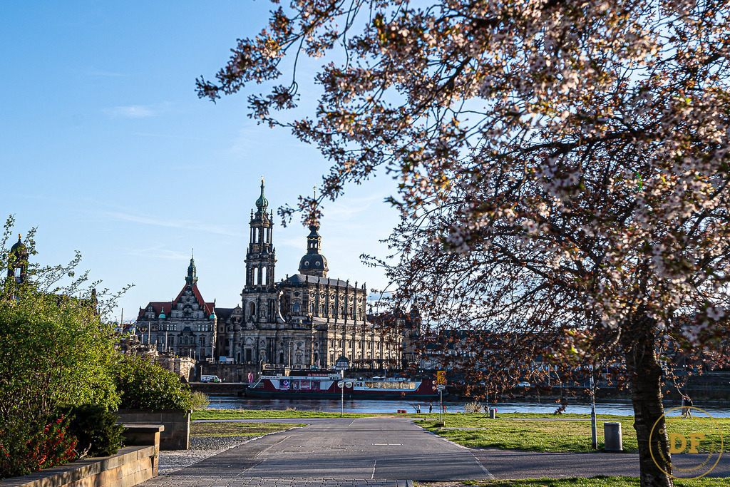 9487-DOM-DD-Blüten-View. | Geschenke, Wandbilder und Accessoires mit Motiven aus Dresden und anderen schönen Orten zur Verschönerung Deines zu Hauses und zum verschenken gewünscht? Wähle Deine Lieblingsbild auf dem Produkt Deiner Wahl. 