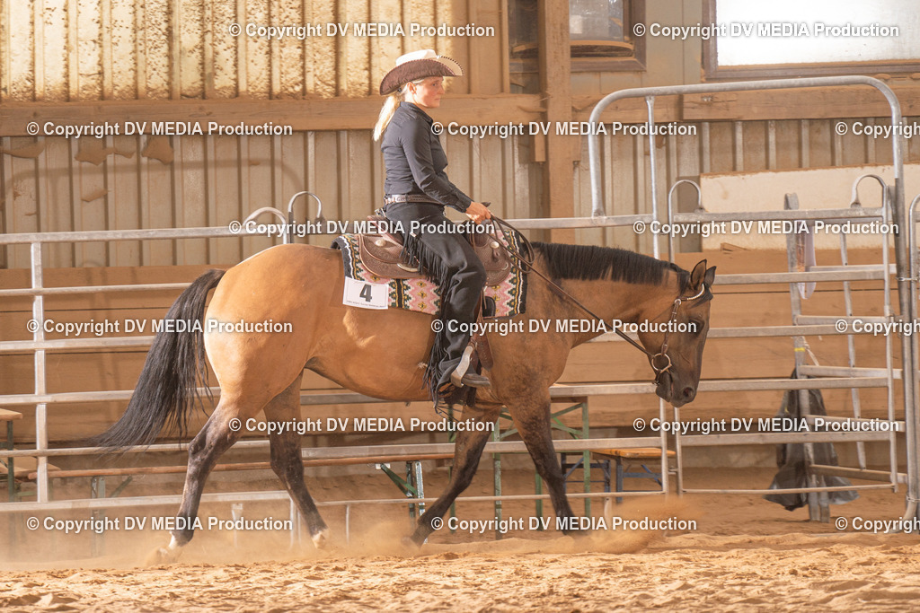 NID00797 | dv-media-shop - Realisiert mit Pictrs.com